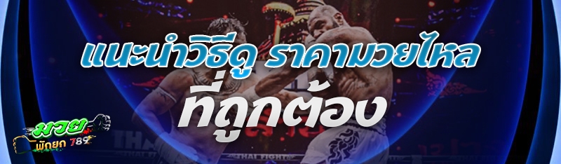 แนะนำวิธีดู ราคามวยไหล ที่ถูกต้อง