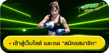 เข้าสู่เว็บไซต์